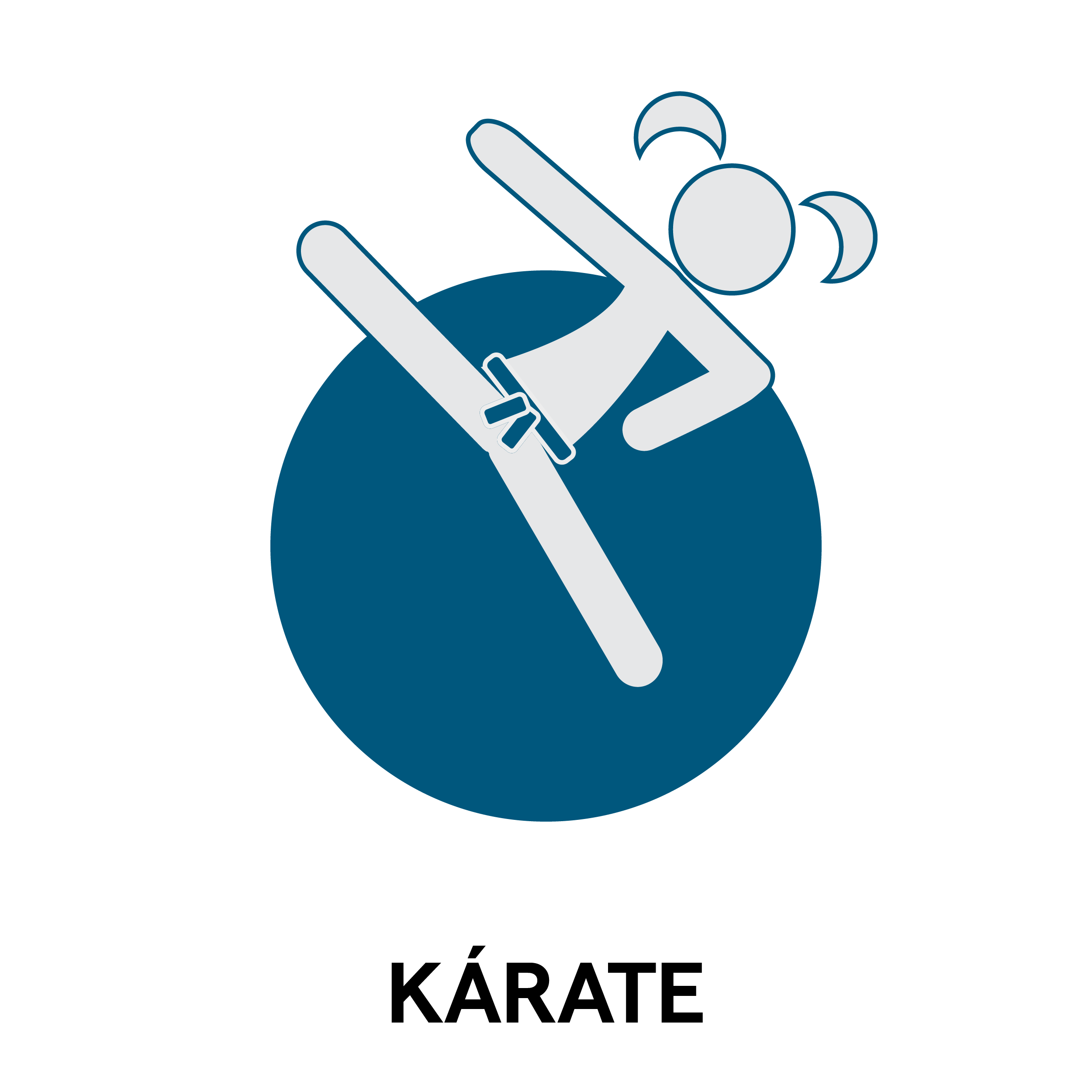iconos kárate @deportemalaga (34)