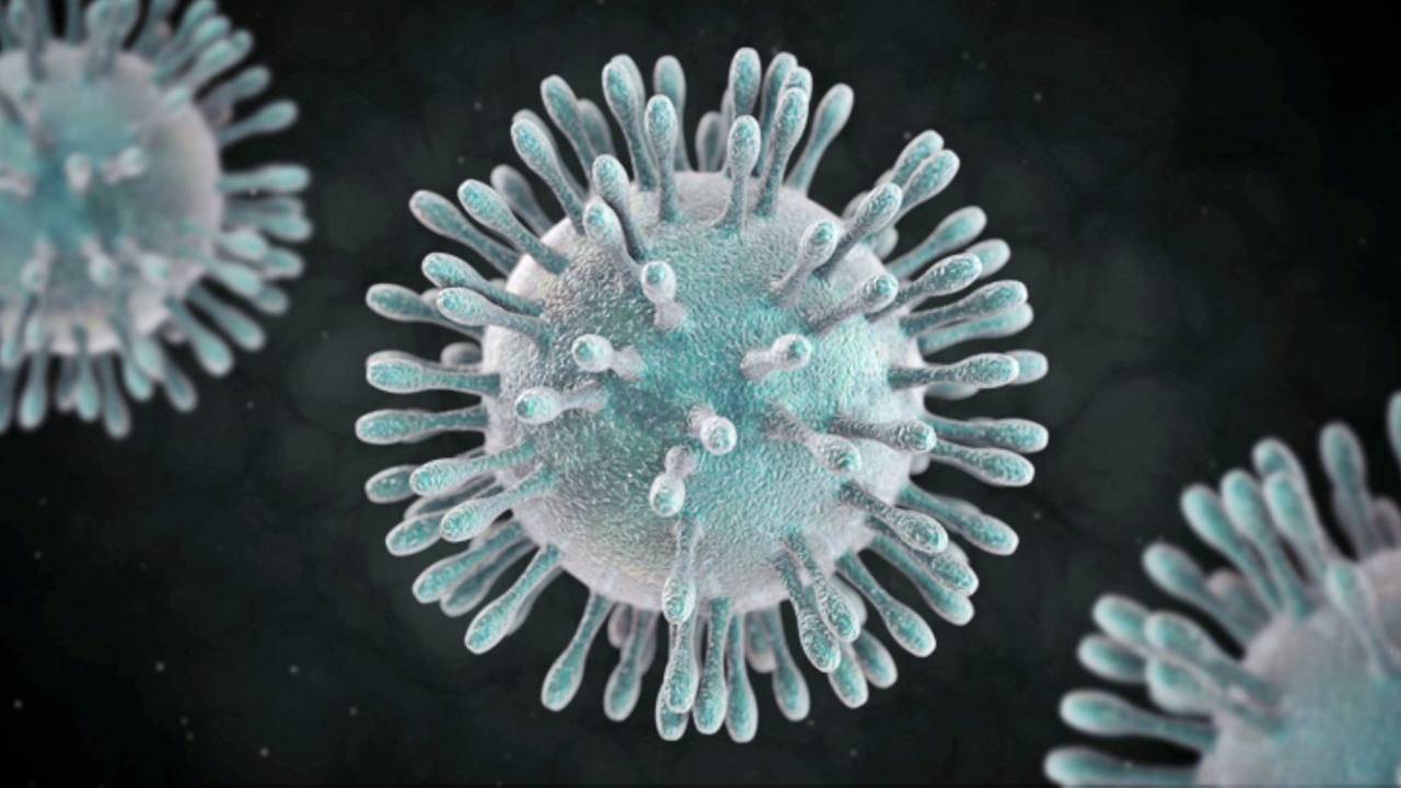 coronavirus