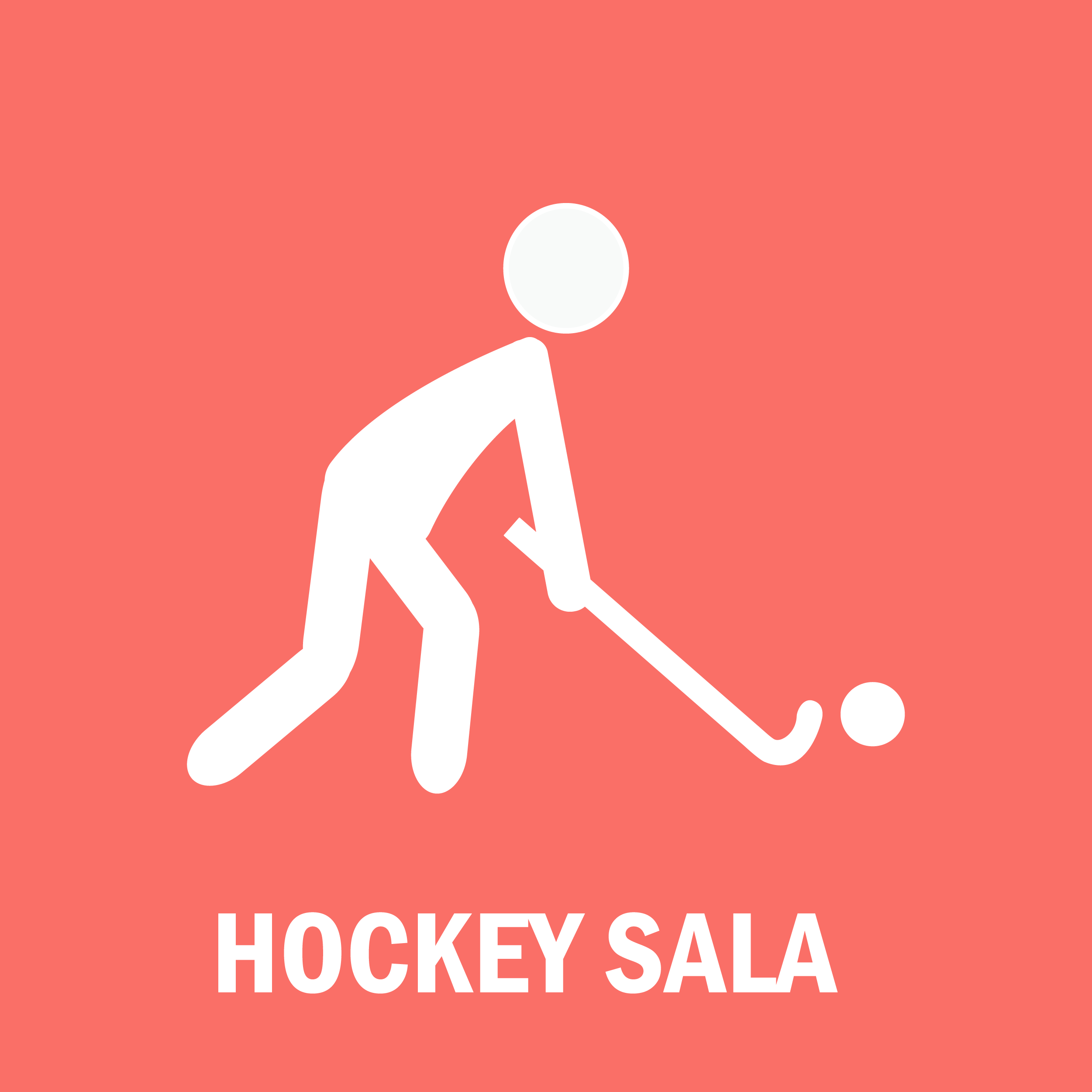 Hockey Sala