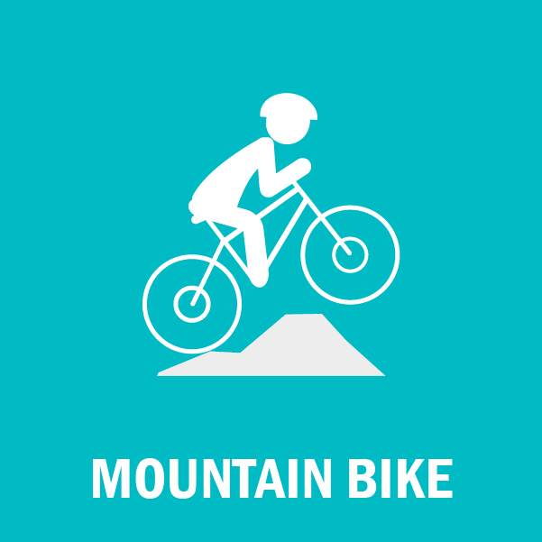 ICO MOUNTAIN BIKE