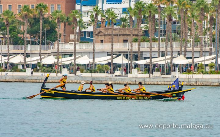 2 #regatajabegas@deportemalaga #deporteenferia2024 @mcbelgrano (6)