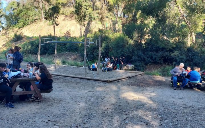 Ceip Nuevo Guadaljaire @deportemalaga #pequesendas (11)