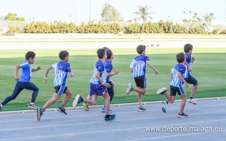 Atletismo JJDDMM @deportemalaga @mcbelgrano-182