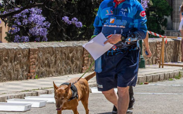 Orientacion_Pablo@deporte.malaga.eu-10