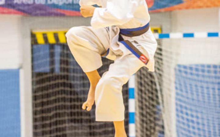 Karate_Pablo@deporte.malaga.eu 00 (22)