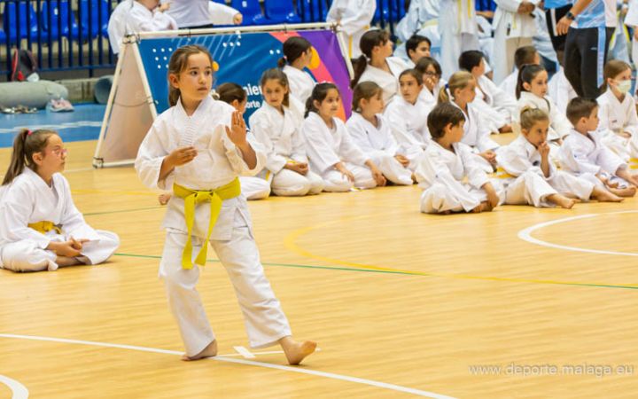 Karate_Pablo@deporte.malaga.eu 00 (50)