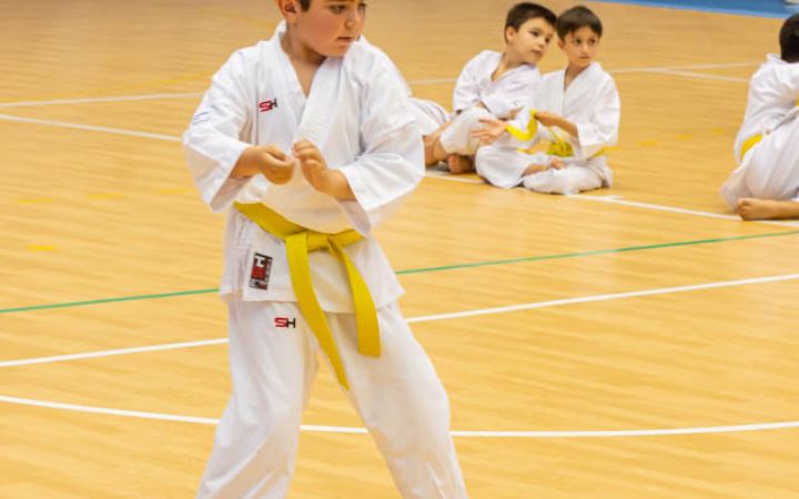 Karate_Pablo@deporte.malaga.eu 00 (64)