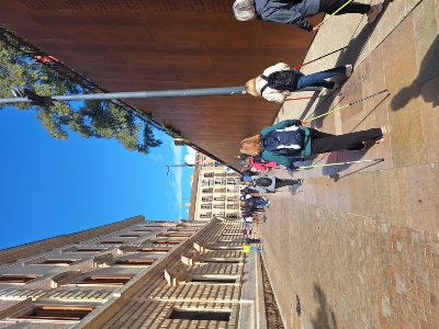 @diadelamujer@deportemalaga# (4)