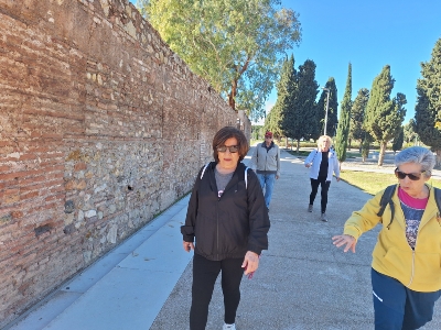 2025 noviembre Paseo por la Ciudad Tiro de Pichón (8)