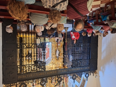 @paseocofrade·#tiropichonciudadjardin26 (7)